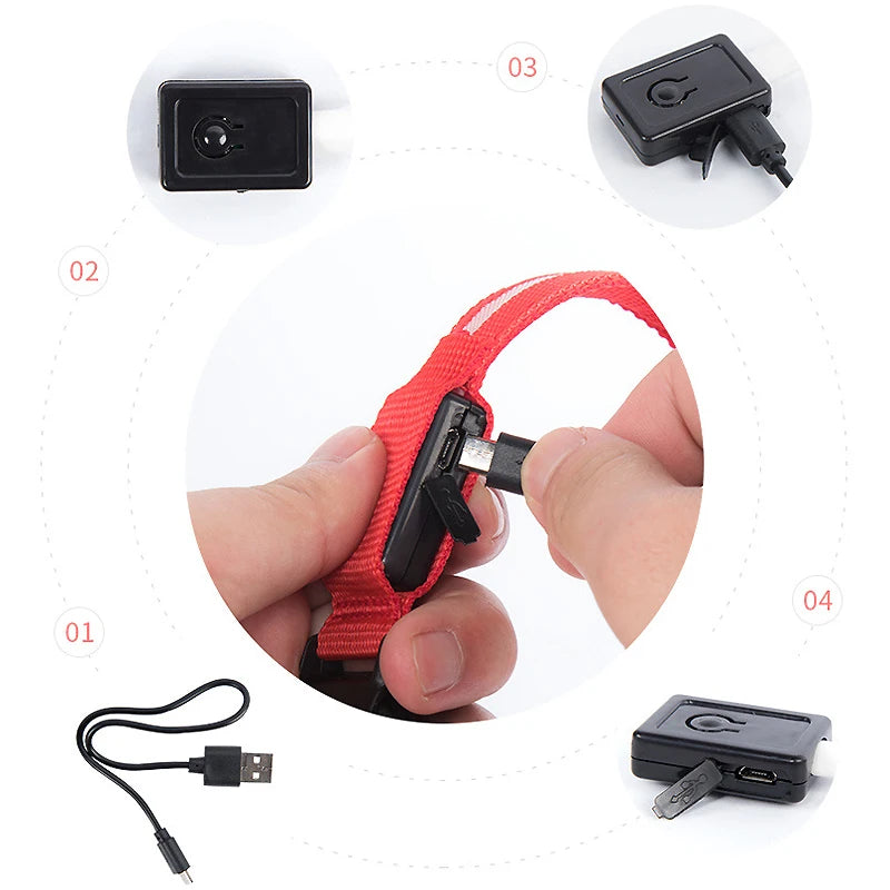 Nylon LED Night Safety Flashing Glow In The Dark Dog Leash