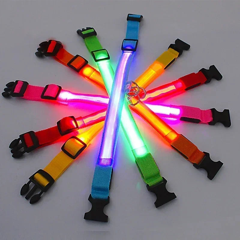 Nylon LED Night Safety Flashing Glow In The Dark Dog Leash