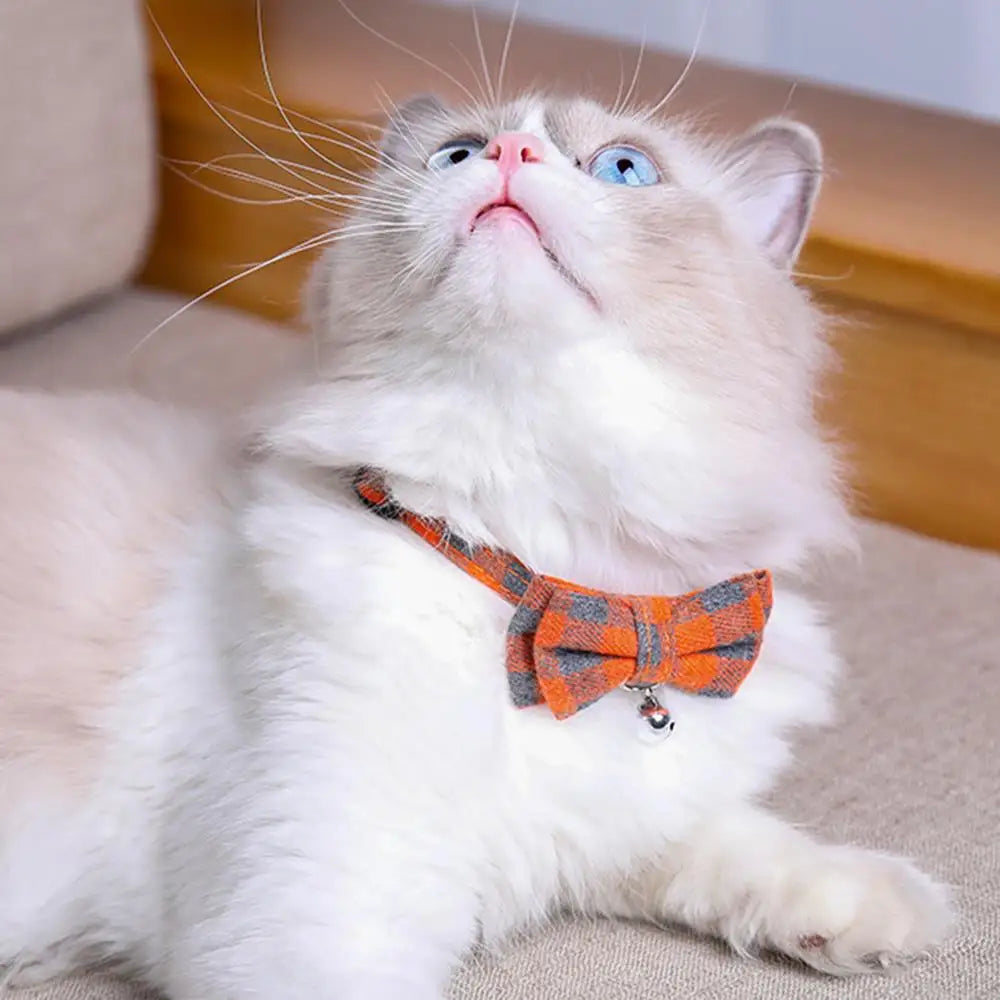 Adjustable Kitten Collar, Bowknot Necklace, Dog Collar