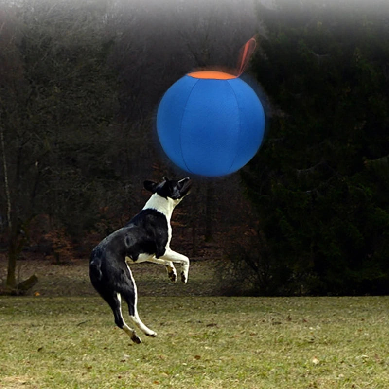 Dog Herding Toy Ball for Exercise, Play and Training Chew Toy,