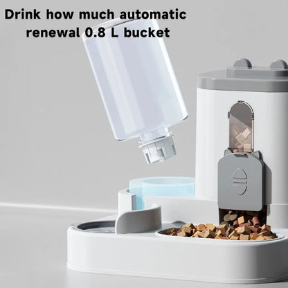 Automatic Dog/ Cat Feeder and Water Dispenser