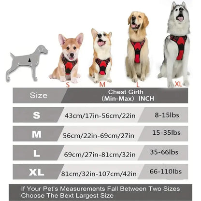 Harness Dog Collars, Big Vests, Leash