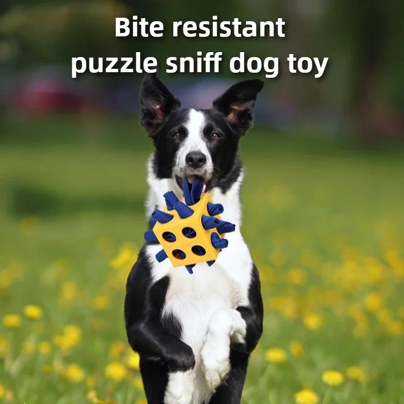Dog Sniffing Rubik's Cube Toy, Teething, Bite-resistant, Interactive