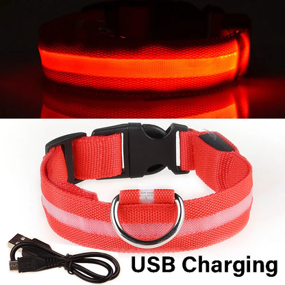 Nylon LED Night Safety Flashing Glow In The Dark Dog Leash