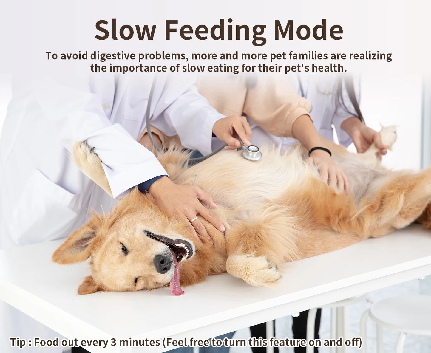 WiFi APP Control Automatic Feeders for Remote Feeding