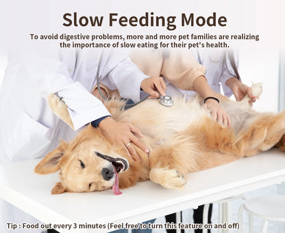 WiFi APP Control Automatic Feeders for Remote Feeding