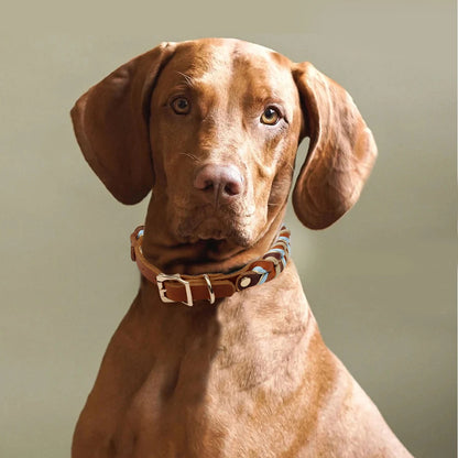New Cow Leather Braided Sky Blue/Brown Dog Collar